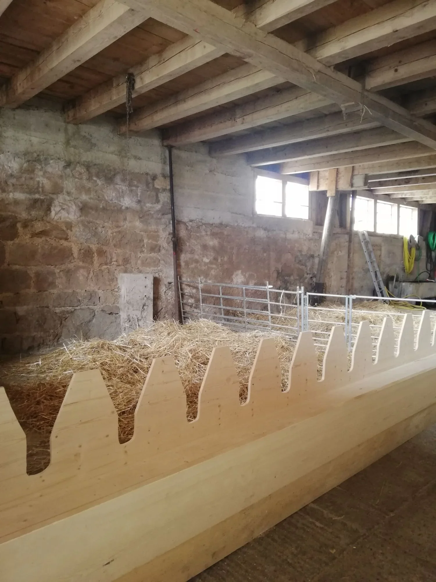 Neuer Futtertisch aus hellem Holz mit Zacken-Fressgitter im Schafstall